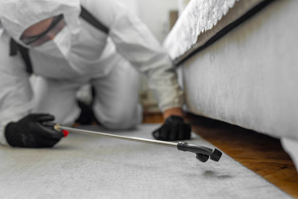 Professional Bed Bug Control technician working in Centereach, NY