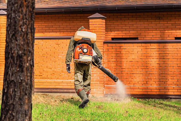 Trusted Rodent Control service in Centereach, NY - Nex Pest Control